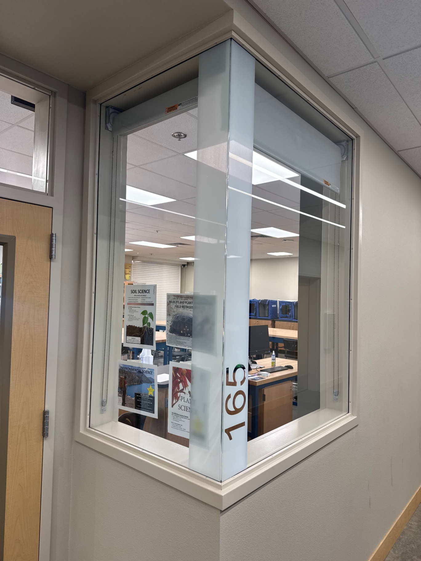 School Window #165